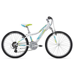 Giant Areva 24