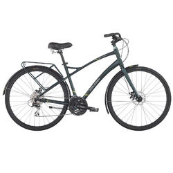 Raleigh Detour 5.5