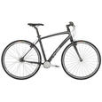 Raleigh Cadent i2x8