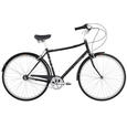 Raleigh Classic Roadster
