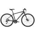 Raleigh Misceo 3.0