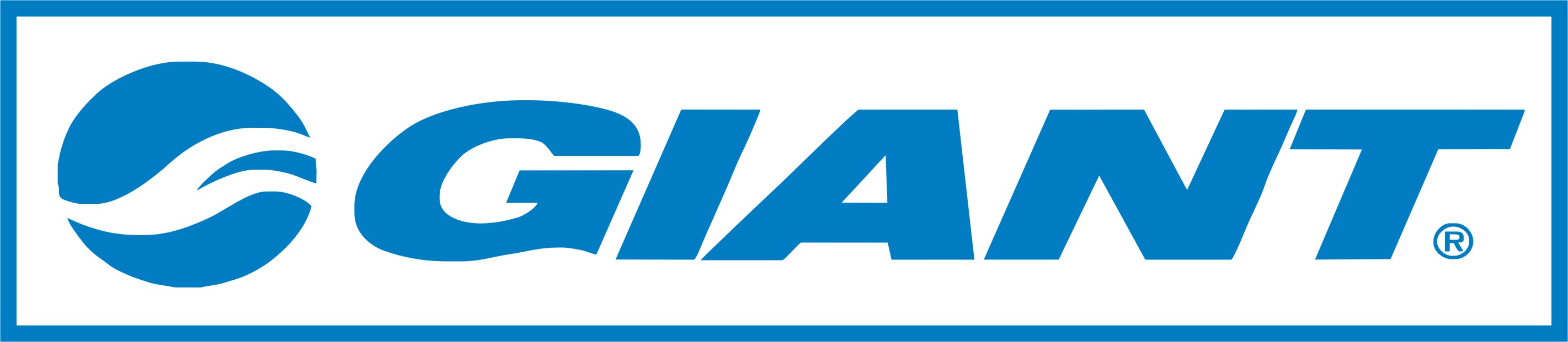 Giant Bikes